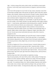 Išgyvenimas ekstremaliomis situacijomis 7 puslapis