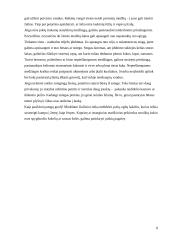 Išgyvenimas ekstremaliomis situacijomis 8 puslapis