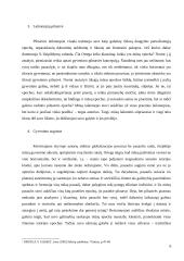 J. Ortega y Gassetas "Masių sukilimas" 5 puslapis