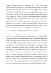 J. Ortega y Gassetas "Masių sukilimas" 7 puslapis