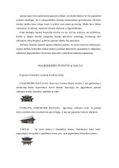 Japonijos architektūra 2 puslapis