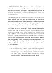 Japonijos architektūra 4 puslapis