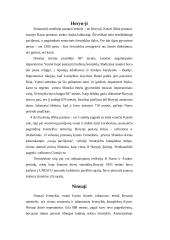 Japonijos architektūra 7 puslapis