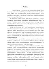 Johano Gutenbergo išradimo kelias į Lietuvą 3 puslapis