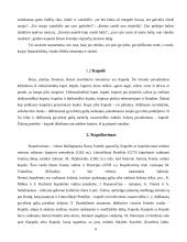 Joninių apeigos ir dainos 5 puslapis