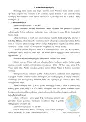 Jūros ir vandenynai 3 puslapis