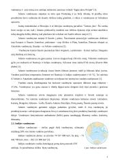 Jūros ir vandenynai 4 puslapis