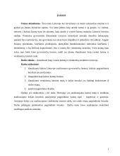 Kaimų ir vienkiemių istorinė raida 2 puslapis