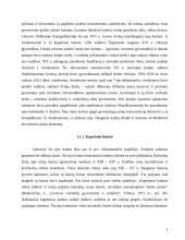 Kaimų ir vienkiemių istorinė raida 4 puslapis