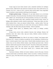 Kaimų ir vienkiemių istorinė raida 6 puslapis