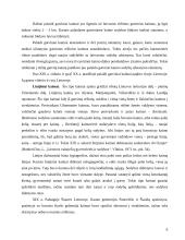 Kaimų ir vienkiemių istorinė raida 7 puslapis