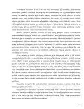 Kainos nustatymo metodai ir strategijos 11 puslapis