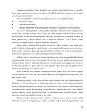 Kainos nustatymo metodai ir strategijos 12 puslapis