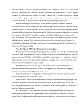 Kainos nustatymo metodai ir strategijos 13 puslapis