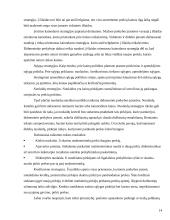 Kainos nustatymo metodai ir strategijos 14 puslapis