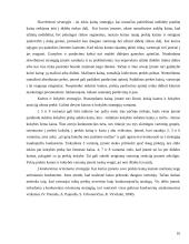 Kainos nustatymo metodai ir strategijos 16 puslapis