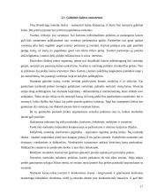 Kainos nustatymo metodai ir strategijos 17 puslapis