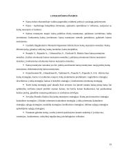 Kainos nustatymo metodai ir strategijos 19 puslapis