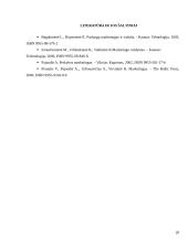 Kainos nustatymo metodai ir strategijos 20 puslapis