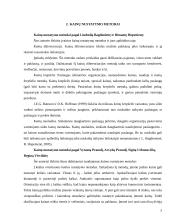 Kainos nustatymo metodai ir strategijos 5 puslapis