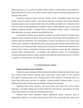 Kainos nustatymo metodai ir strategijos 6 puslapis