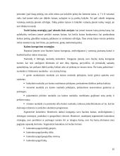 Kainos nustatymo metodai ir strategijos 10 puslapis