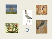 Senovės Egipto simboliai 18 puslapis