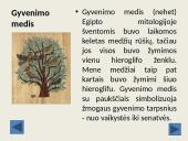 Senovės Egipto simboliai 9 puslapis