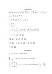 Individualus savarankiškas darbas (tiesinė algebra) 2 puslapis