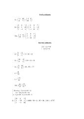 Individualus savarankiškas darbas (tiesinė algebra) 4 puslapis