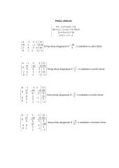 Individualus savarankiškas darbas (tiesinė algebra) 6 puslapis