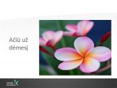 Marksizmas ir ugdymas 12 puslapis