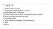 Tarptautinės bendrovės skaidrės 2 puslapis