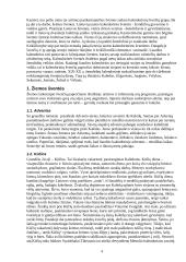 Kalendorinės šventės Lietuvoje 4 puslapis