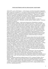 Kapitalizmo ir gamybos istorija XVII - XVIII amžiuje 4 puslapis