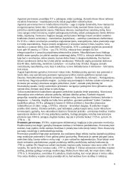 Kapitalizmo ir gamybos istorija XVII - XVIII amžiuje 6 puslapis