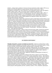 Kapitalizmo ir gamybos istorija XVII - XVIII amžiuje 7 puslapis