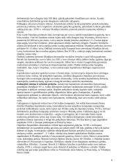 Kapitalizmo ir gamybos istorija XVII - XVIII amžiuje 8 puslapis