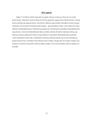 Komandinis darbas projektų valdyme 13 puslapis