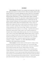 Komandinis darbas projektų valdyme 4 puslapis