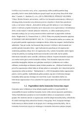 Komandinis darbas projektų valdyme 7 puslapis