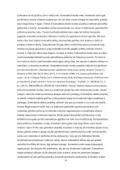 Komandinis darbas projektų valdyme 10 puslapis