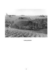 Kaukas kultūroje 14 puslapis