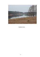 Kaukas kultūroje 15 puslapis