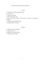 Kaukas kultūroje 7 puslapis