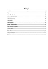 Kauno miestas tarpukariu 1918 – 1940 metais 2 puslapis