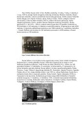 Kauno miestas tarpukariu 1918 – 1940 metais 11 puslapis