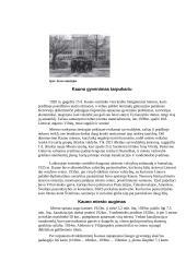 Kauno miestas tarpukariu 1918 – 1940 metais 6 puslapis