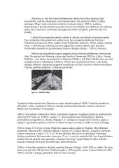 Kauno miestas tarpukariu 1918 – 1940 metais 9 puslapis