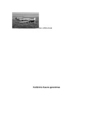 Kauno miestas tarpukariu 1918 – 1940 metais 10 puslapis